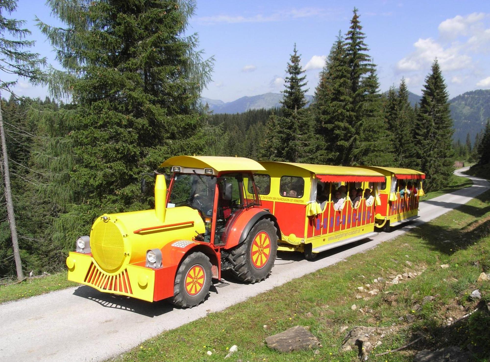 Dachstein West Hotel Gmbh-Kirchenwirt Russbach Russbach am Pass Gschutt Bagian luar foto